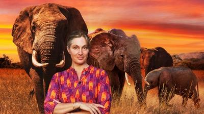 Saba Douglas-Hamilton stands in front of a colourful backdrop of elephants. 