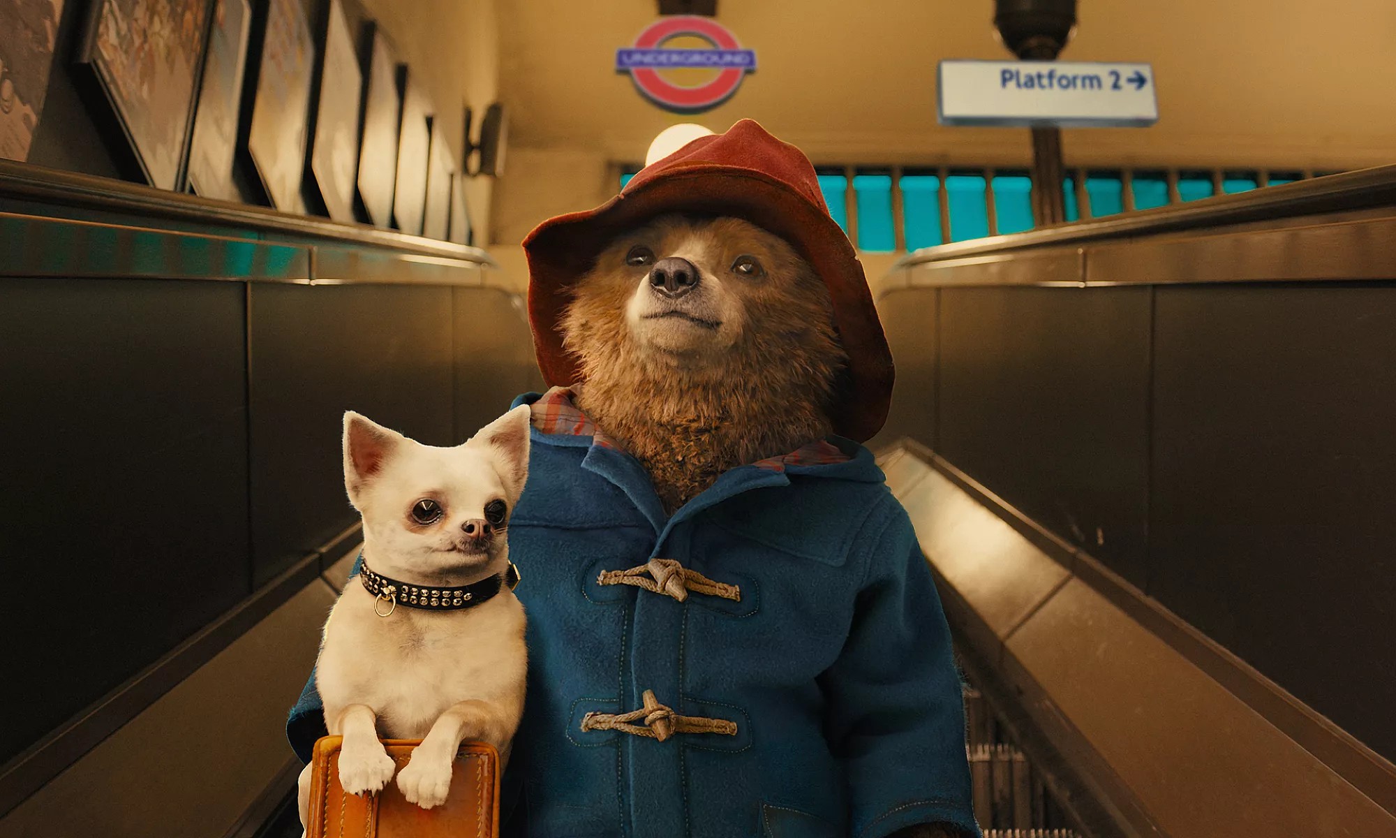 Paddington 1 Wide